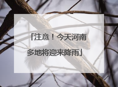 注意！今天河南多地将迎来降雨