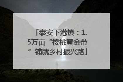 泰安下港镇：1.5万亩“樱桃黄金带”铺就乡村振兴路