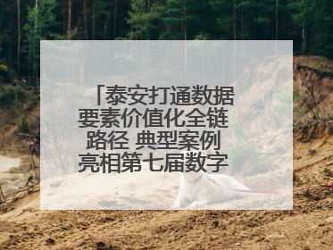 泰安打通数据要素价值化全链路径 典型案例亮相第七届数字中国建设峰会