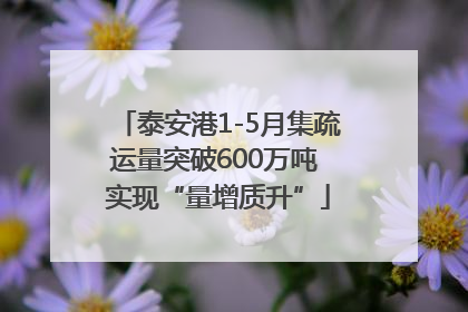泰安港1-5月集疏运量突破600万吨 实现“量增质升”