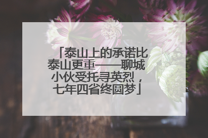 泰山上的承诺比泰山更重——聊城小伙受托寻英烈，七年四省终圆梦