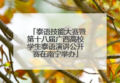 泰语技能大赛暨第十八届广西高校学生泰语演讲公开赛在南宁举办