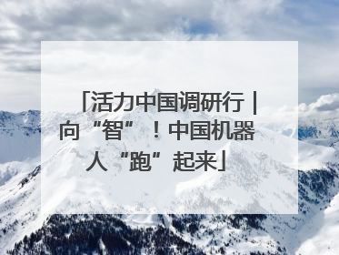 活力中国调研行｜向“智”！中国机器人“跑”起来