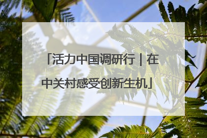 活力中国调研行｜在中关村感受创新生机