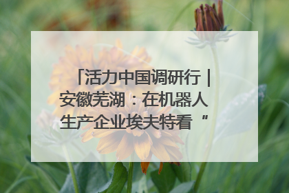 活力中国调研行｜安徽芜湖：在机器人生产企业埃夫特看“中国智造”