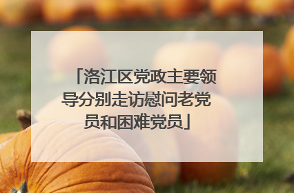 洛江区党政主要领导分别走访慰问老党员和困难党员