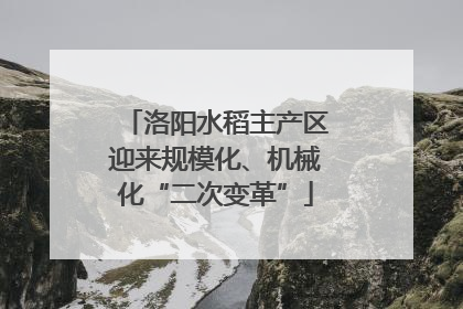 洛阳水稻主产区迎来规模化、机械化“二次变革”
