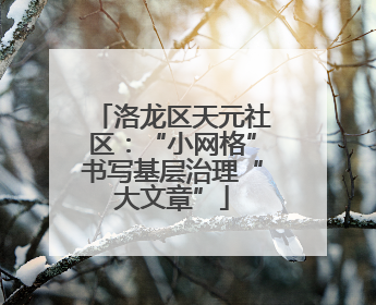 洛龙区天元社区：“小网格”书写基层治理“大文章”
