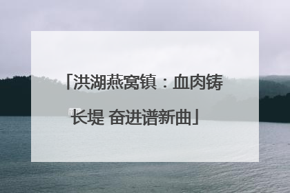 洪湖燕窝镇：血肉铸长堤 奋进谱新曲
