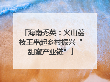 海南秀英：火山荔枝王串起乡村振兴“甜蜜产业链”