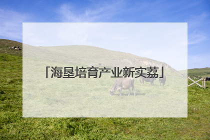 海垦培育产业新实荔