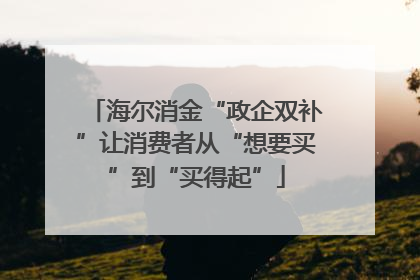 海尔消金“政企双补”让消费者从“想要买”到“买得起”