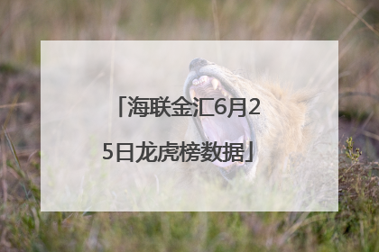 海联金汇6月25日龙虎榜数据