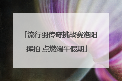 流行羽传奇挑战赛洛阳挥拍 点燃端午假期