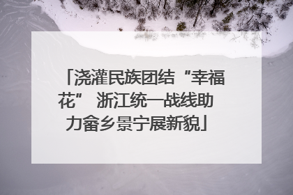 浇灌民族团结“幸福花” 浙江统一战线助力畲乡景宁展新貌