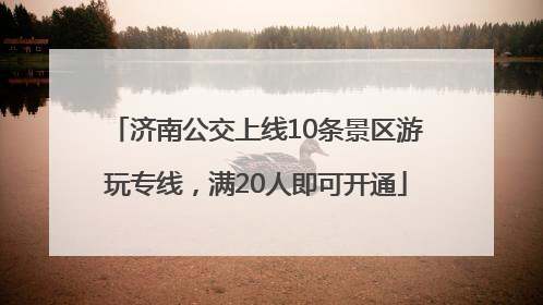 济南公交上线10条景区游玩专线，满20人即可开通