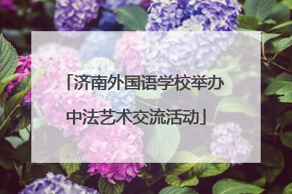 济南外国语学校举办中法艺术交流活动