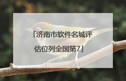 济南市软件名城评估位列全国第7