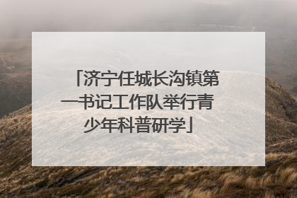 济宁任城长沟镇第一书记工作队举行青少年科普研学