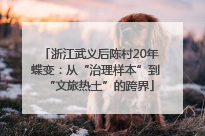 浙江武义后陈村20年蝶变：从“治理样本”到“文旅热土”的跨界