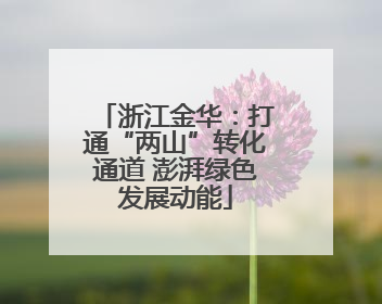 浙江金华：打通“两山”转化通道 澎湃绿色发展动能