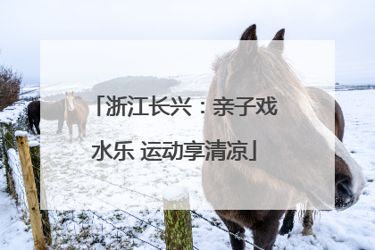浙江长兴：亲子戏水乐 运动享清凉
