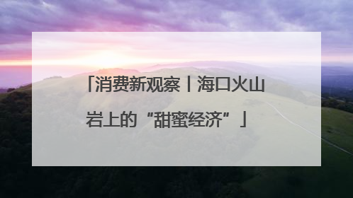 消费新观察丨海口火山岩上的“甜蜜经济”