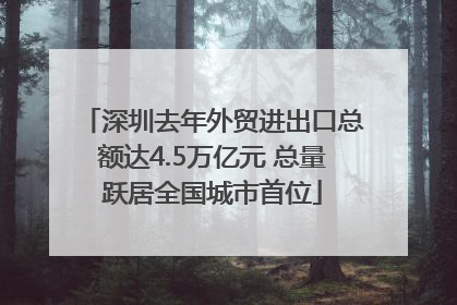 深圳去年外贸进出口总额达4.5万亿元 总量跃居全国城市首位