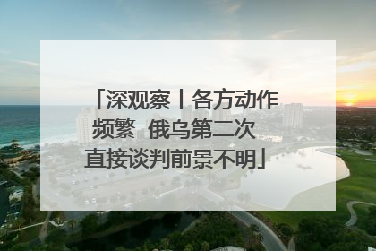 深观察丨各方动作频繁  俄乌第二次直接谈判前景不明