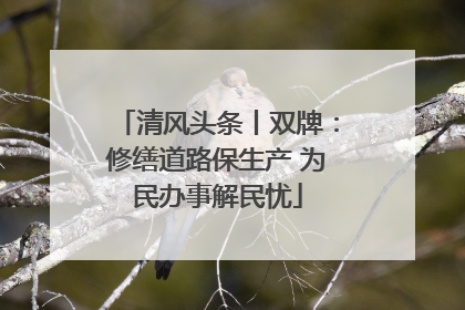 清风头条丨双牌：修缮道路保生产 为民办事解民忧