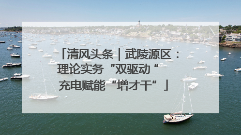 清风头条｜武陵源区：理论实务“双驱动 ” 充电赋能“增才干”