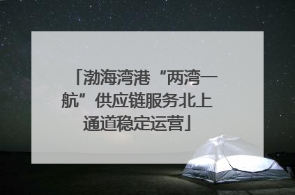 渤海湾港“两湾一航”供应链服务北上通道稳定运营