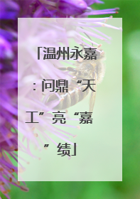 温州永嘉：问鼎“天工”亮“嘉”绩