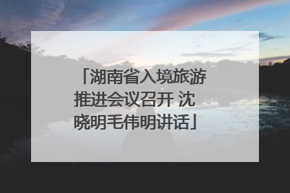 湖南省入境旅游推进会议召开 沈晓明毛伟明讲话