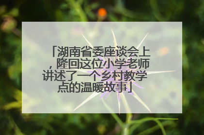 湖南省委座谈会上，隆回这位小学老师讲述了一个乡村教学点的温暖故事
