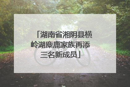 湖南省湘阴县横岭湖麋鹿家族再添三名新成员