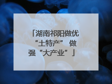 湖南祁阳做优“土特产” 做强“大产业”