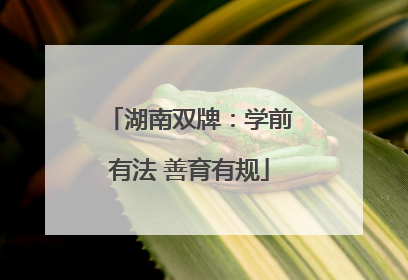 湖南双牌：学前有法 善育有规