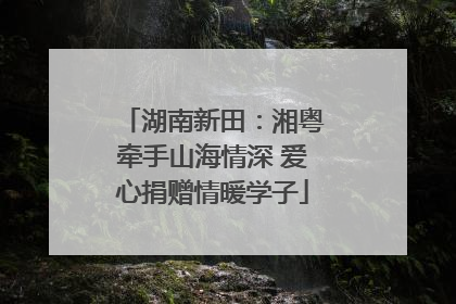 湖南新田：湘粤牵手山海情深 爱心捐赠情暖学子