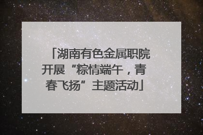 湖南有色金属职院开展“粽情端午，青春飞扬”主题活动