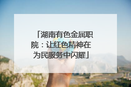 湖南有色金属职院：让红色精神在为民服务中闪耀