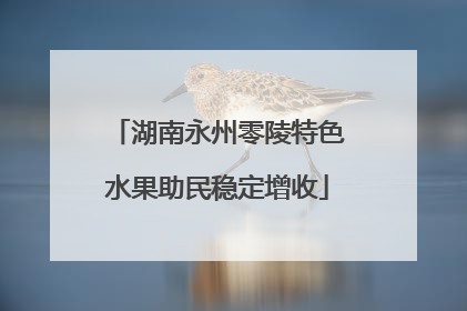 湖南永州零陵特色水果助民稳定增收