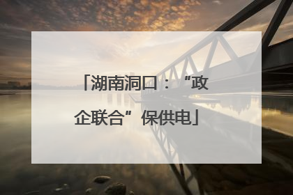 湖南洞口：“政企联合”保供电
