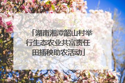 湖南湘潭韶山村举行生态农业共富责任田插秧助农活动