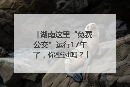 湖南这里“免费公交”运行17年了，你坐过吗？