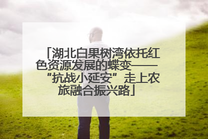 湖北白果树湾依托红色资源发展的蝶变——“抗战小延安”走上农旅融合振兴路