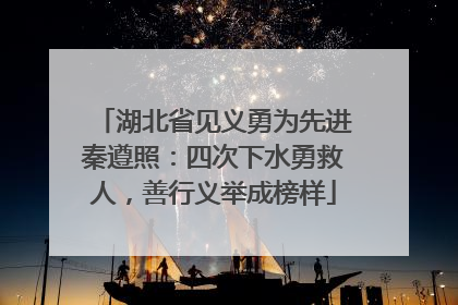 湖北省见义勇为先进秦遵照：四次下水勇救人，善行义举成榜样