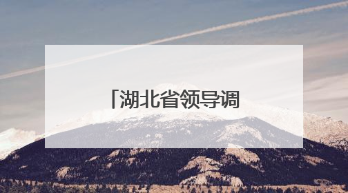 湖北省领导调整，张文兵、黎东辉同日履新