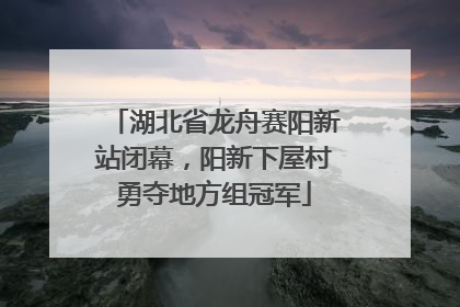 湖北省龙舟赛阳新站闭幕，阳新下屋村勇夺地方组冠军