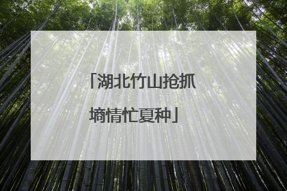 湖北竹山抢抓墒情忙夏种
